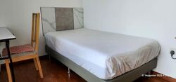 Forestville (D25), Condominium #558598071